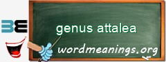 WordMeaning blackboard for genus attalea